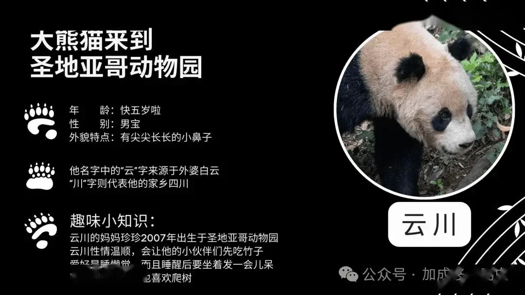 网游悠闲的生活_悠闲生活游戏_网游之悠闲生活sbw